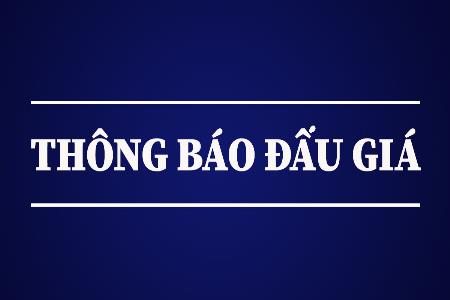 Thông báo công khai việc đầu giá sản sản tại xã Mường Tè và Xã Phong Thổ Thông báo công khai việc đầu giá sản sản tại xã Mường Tè và Xã Phong Thổ